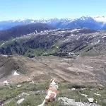 B Living * Neukirchen am Großvenediger